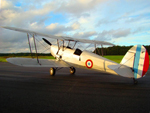 Stampe